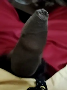 Ashish02345 online show from 12-06-24, 06:44