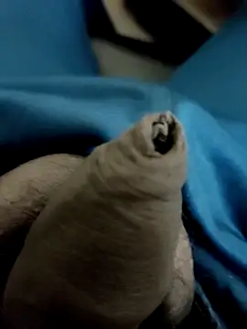 Ashish02345 online show from 01-28-25, 08:58