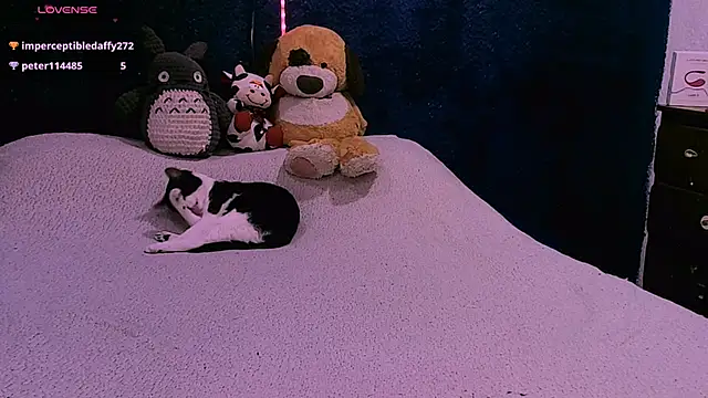 Snapshot of NinaYellow chatting on 12-02-24, 05:21 NinaYellow online show from 12-02-24, 05:21