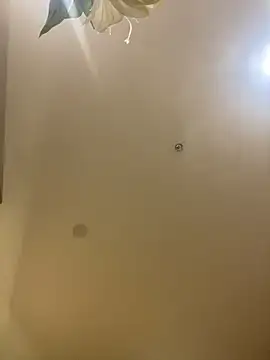 MEOW MEO online show from 12-20-25, 04:10