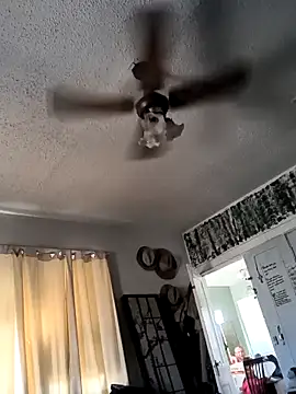 TexaSMESS 37 online show from 02-27-26, 09:58