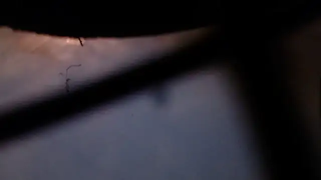 Cordt30 online show from 02-12-26, 04:40