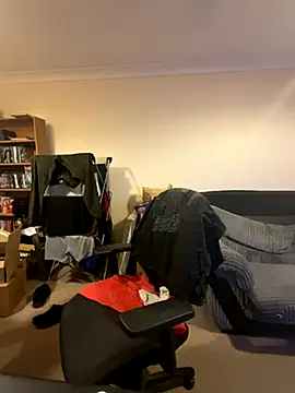 LondonTeffy online show from 11-17-25, 09:41