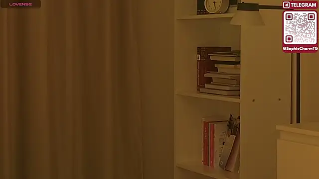SophieCharm online show from 02-26-26, 04:34