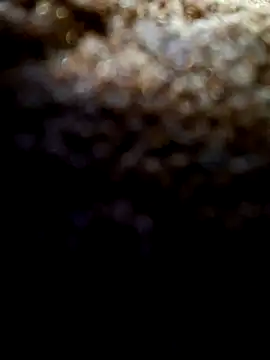 Exhibitionist1508 online show from 09-09-25, 03:38