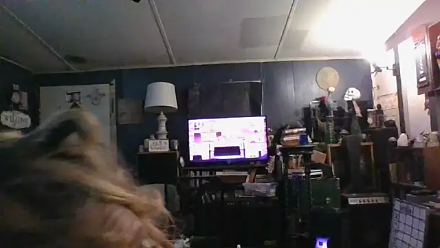 stormynight1 online show from 10-12-25, 08:59