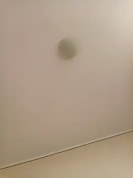 zafka 9 online show from 04-17-26, 08:11