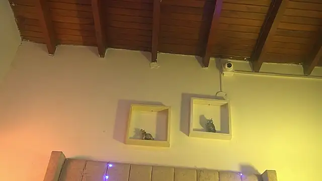 patty m online show from 12-15-25, 12:00