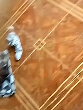 socrathes online show from 02-26-26, 12:27