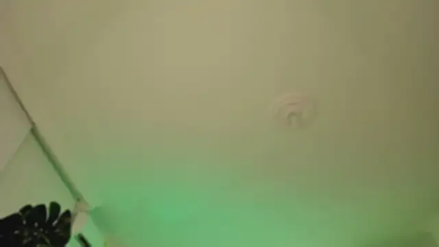 Taylor  foxxx online show from 03-06-25, 04:08