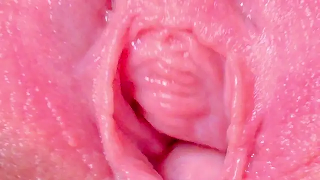 Snapshot of Alu_ryu chatting on 09-27-25, 11:55 Alu ryu online show from 09-27-25, 11:55