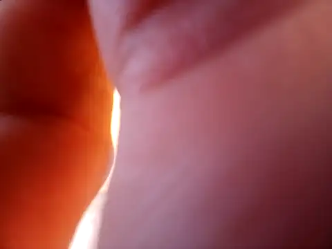 braza66 online show from 04-04-26, 03:29