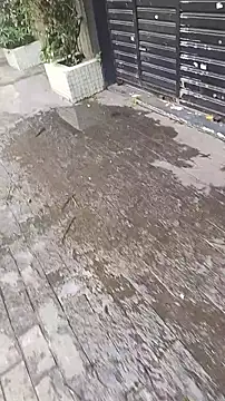 Snapshot of UncutToyBoy23cm chatting on 03-13-25, 02:01 UncutToyBoy23cm online show from 03-13-25, 02:01