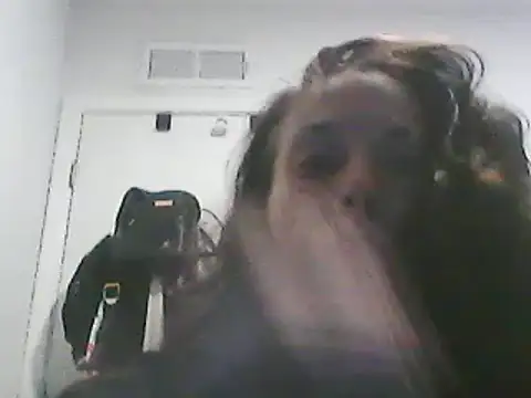 Snapshot of gorgeous11 chatting on 03-10-25, 01:54 gorgeous11 online show from 03-10-25, 01:54