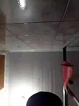 Adee21e online show from 11-17-25, 08:46