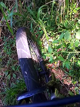 Adee21e online show from 11-21-25, 04:39