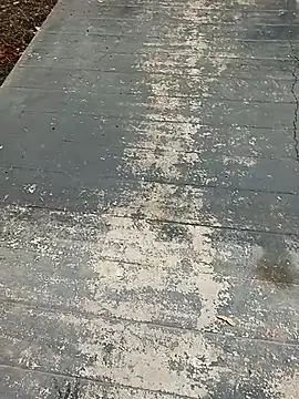 mr slim body online show from 01-12-26, 09:49