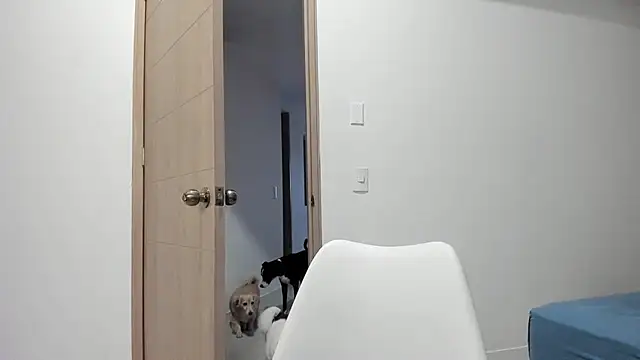 Vera Fernandez online show from 11-12-25, 10:46