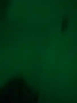 Snapshot of greedybratt chatting on 12-23-24, 05:39 greedybratt online show from 12-23-24, 05:39