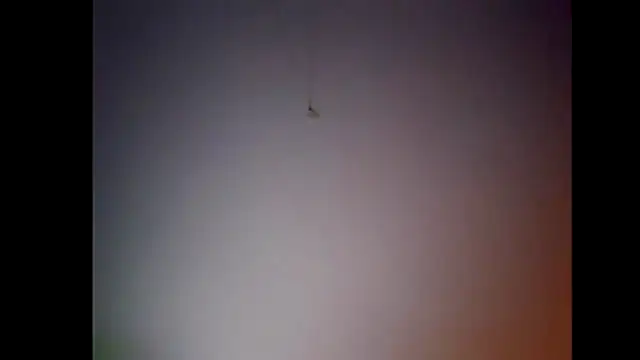 Pegg-fist-me online show from 11-28-25, 12:00