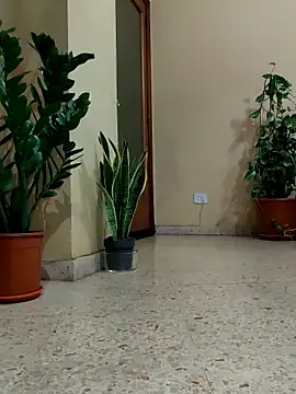 Melody87 online show from 04-01-26, 09:34