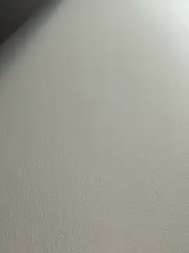 Mila Morgan online show from 02-25-25, 04:57