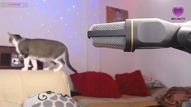 Marci owo online show from 09-27-25, 08:15