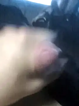 Boysex227 online show from 03-19-26, 04:23