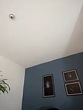 SilvaBranko online show from 10-27-25, 11:05