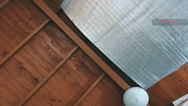 SilvaBranko online show from 03-27-26, 09:05