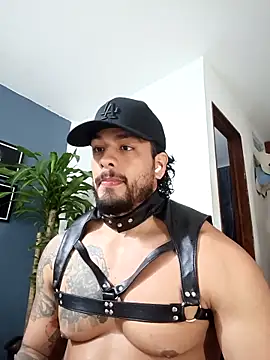 SilvaBranko online show from 12-17-25, 12:48