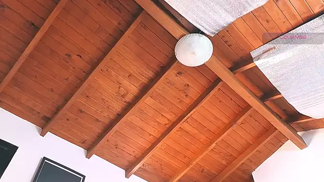 SilvaBranko online show from 03-14-26, 08:04