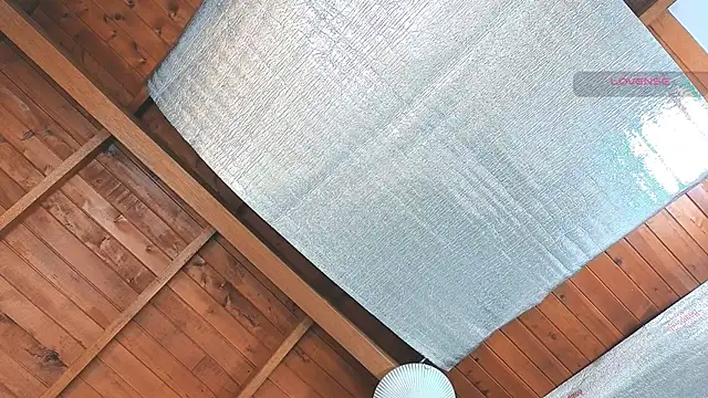 SilvaBranko online show from 03-16-26, 12:07