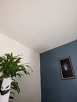 SilvaBranko online show from 11-04-25, 10:02