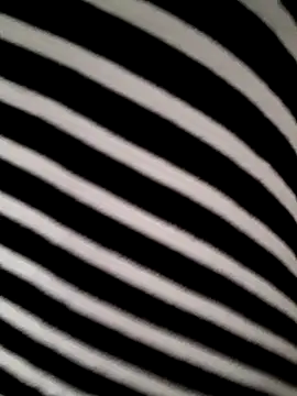 hotandfierylatinos2023 online show from 03-16-26, 11:03