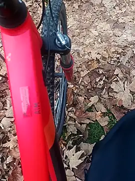 maleesa online show from 11-02-25, 06:29