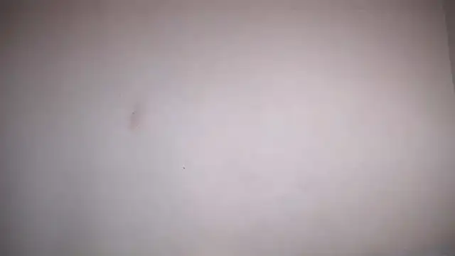 Osiiriis online show from 02-12-25, 01:06