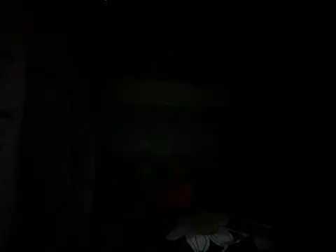 Mallayali 27 online show from 01-14-25, 07:00