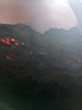 Swirly blac online show from 04-13-26, 08:18