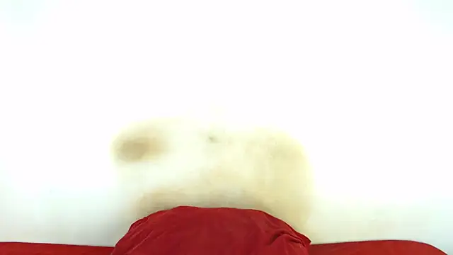 FAT ASS27 online show from 02-08-26, 12:52