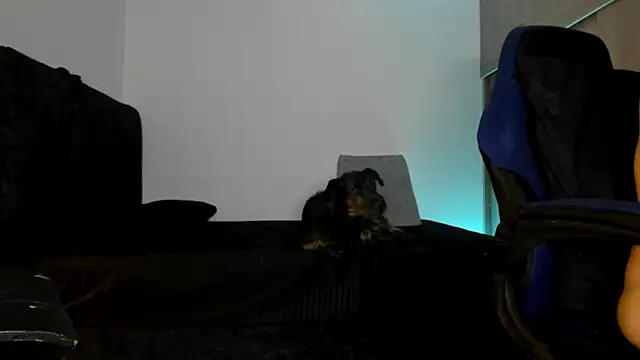 male pussy online show from 10-09-25, 05:08