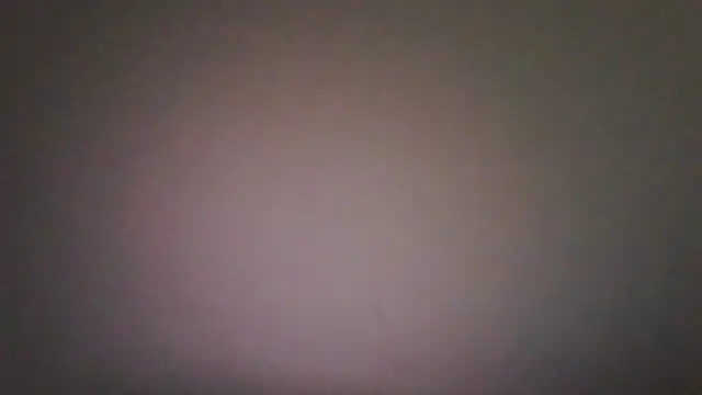 Vekie 007 online show from 07-04-26, 05:47