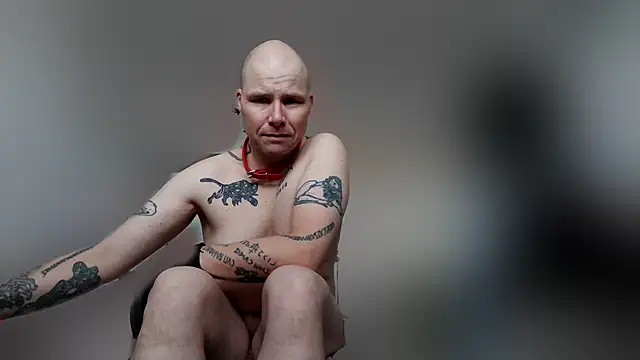 Snapshot of gaywolf426 chatting on 02-19-26, 08:33 gaywolf426 online show from 02-19-26, 08:33