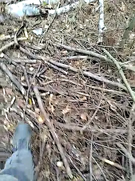 Snapshot of prcalek19 chatting on 10-14-25, 09:10 prcalek19 online show from 10-14-25, 09:10