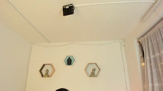 Paloma victory online show from 11-15-25, 09:30