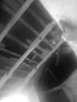 Jerryhottt online show from 11-20-25, 03:18