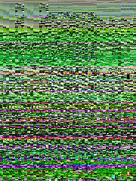 Sunbelxx online show from 12-18-25, 09:47