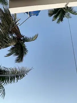 Ishikarana online show from 04-14-26, 01:43