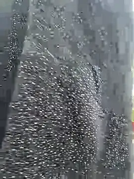 Ishikarana online show from 03-13-26, 12:37