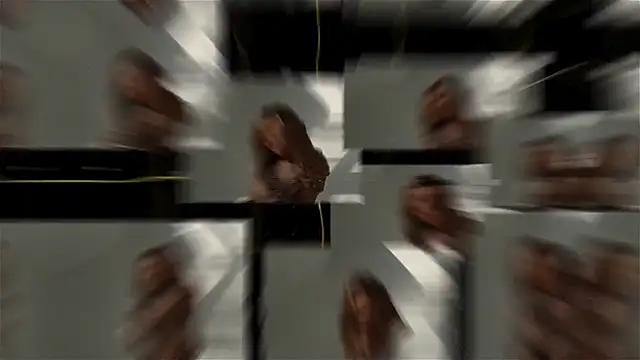 Snapshot of seilyfox chatting on 09-25-25, 07:47 seilyfox online show from 09-25-25, 07:47